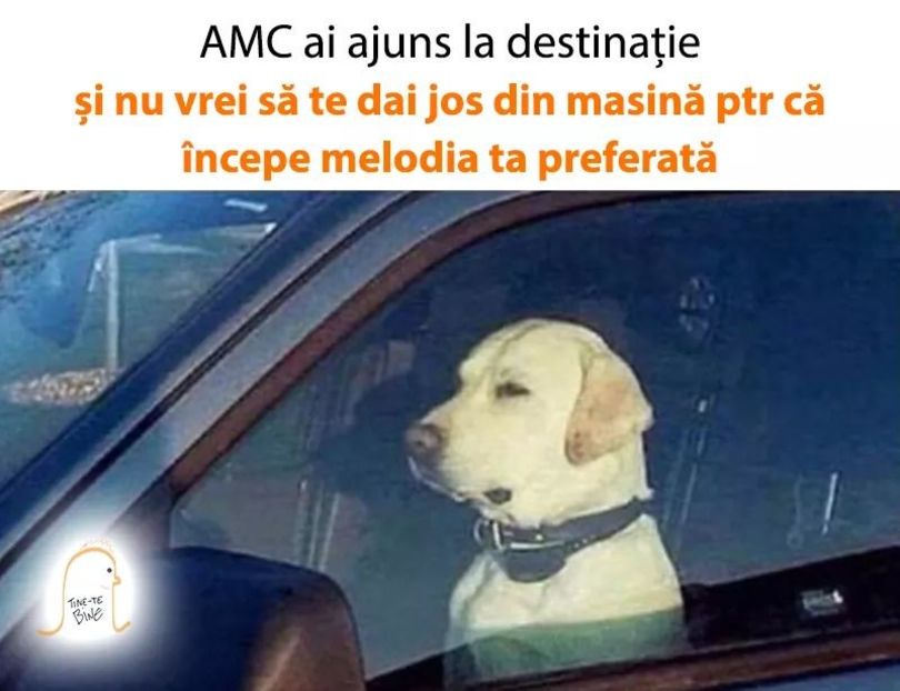  - are there any good ones left