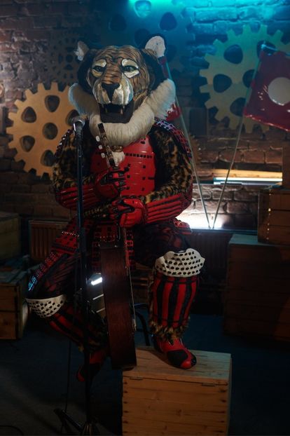 Masked Singer - Masked Singer 2020-Prezent