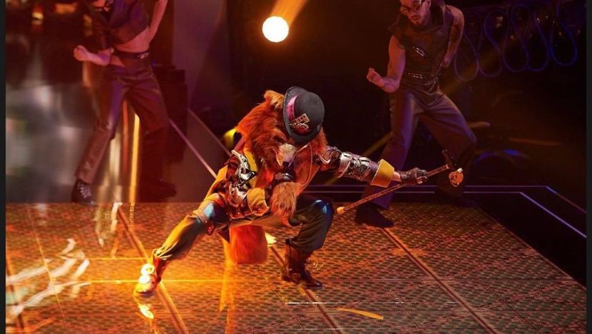 Masked Singer - Masked Singer 2020-Prezent