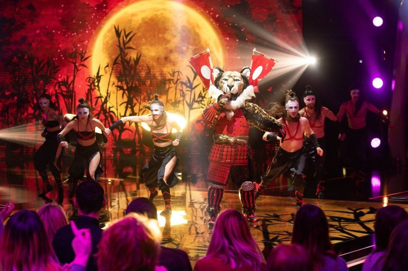 Masked Singer - Masked Singer 2020-Prezent