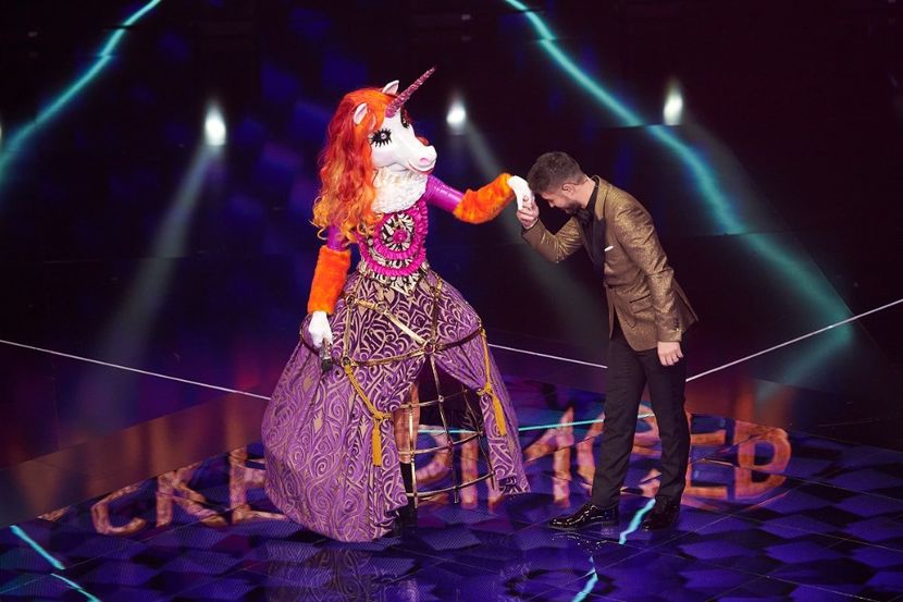 Masked Singer - Masked Singer 2020-Prezent