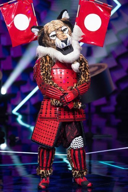 Masked Singer - Masked Singer 2020-Prezent