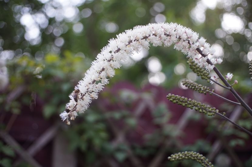  - Septembrie 2019- septembrie 2020