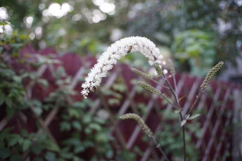  - Septembrie 2019- septembrie 2020