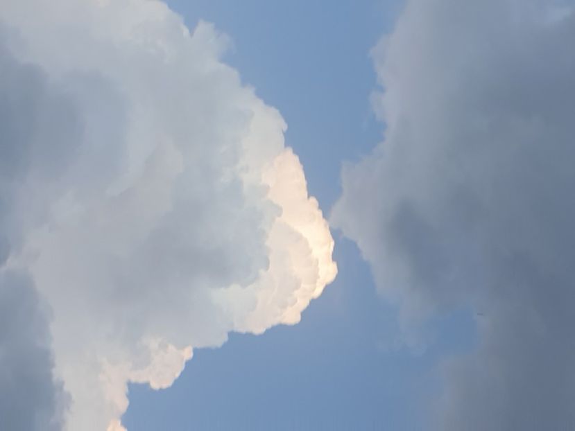  - - O - Fotografii x