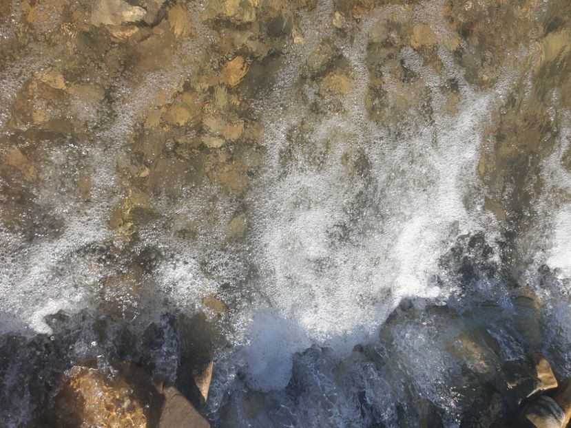  - - O - Fotografii x