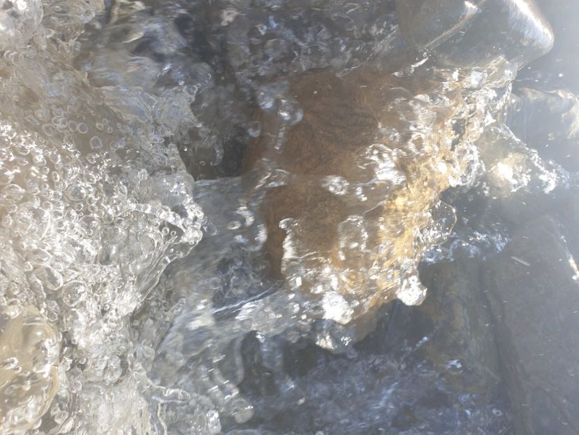  - - O - Fotografii x