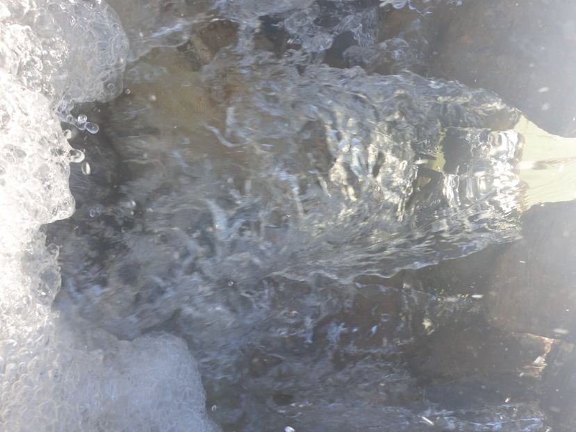  - - O - Fotografii x