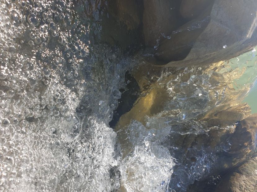  - - O - Fotografii x