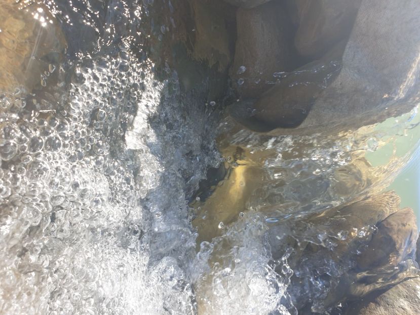  - - O - Fotografii x