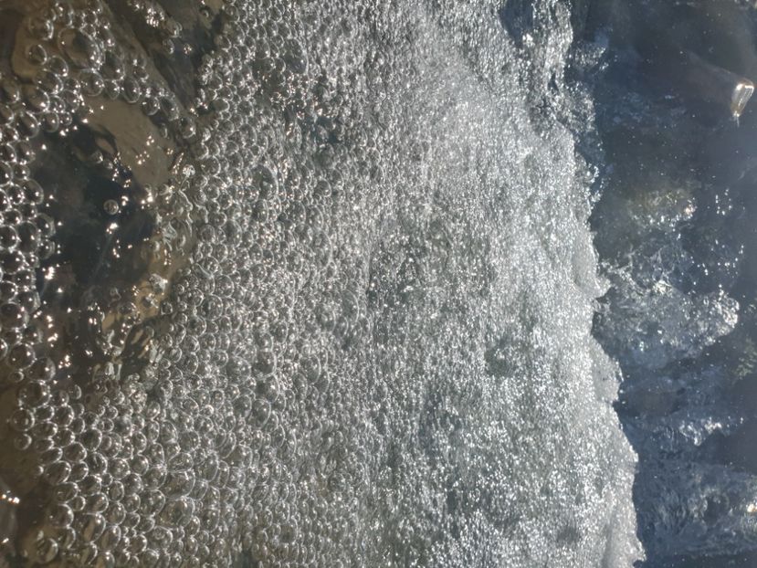  - - O - Fotografii x