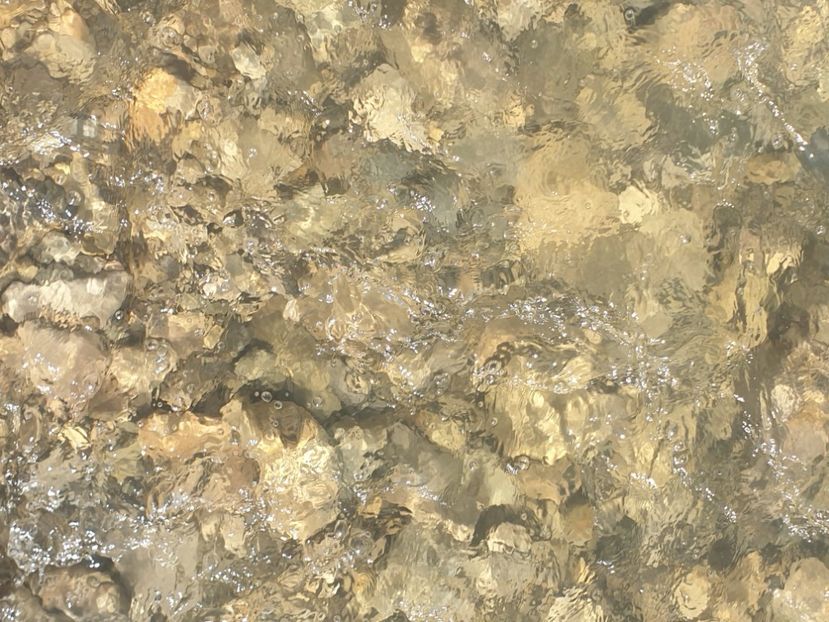  - - O - Fotografii x