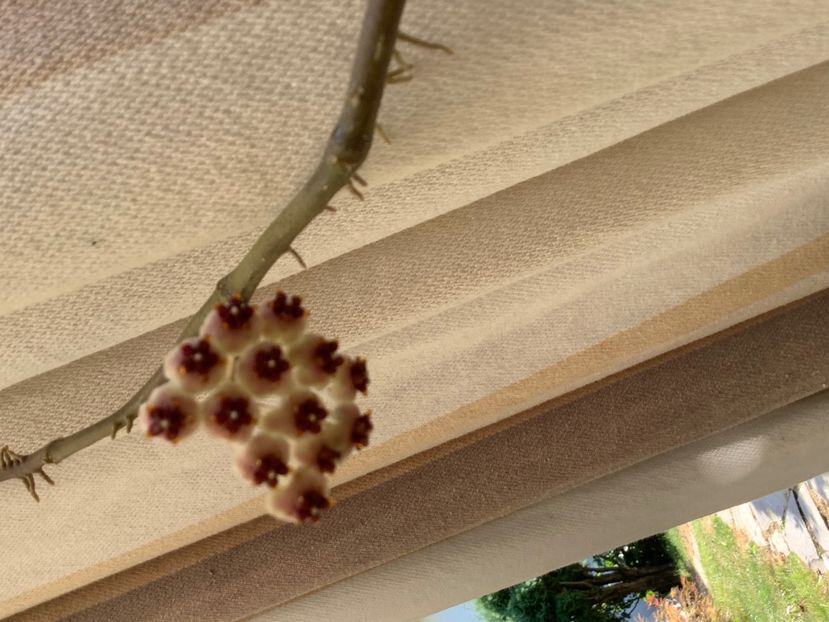 A23DD64B-6118-4A50-8FCD-D51B5B65490B - Kerry