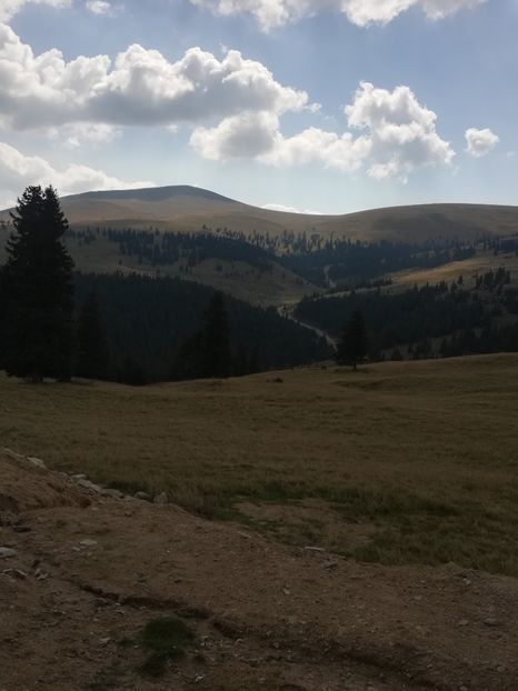  - VALEA SEBESULUI