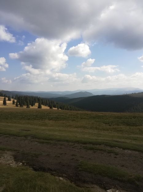  - VALEA SEBESULUI