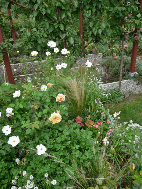  - 2020 - 03 - Toamna