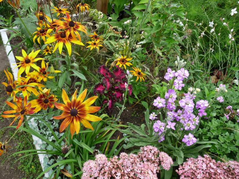  - 2020 - 03 - Toamna