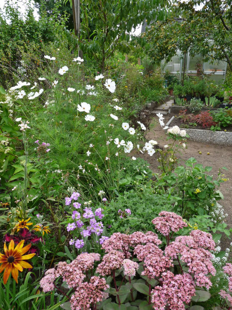  - 2020 - 03 - Toamna