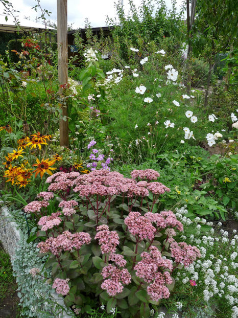  - 2020 - 03 - Toamna