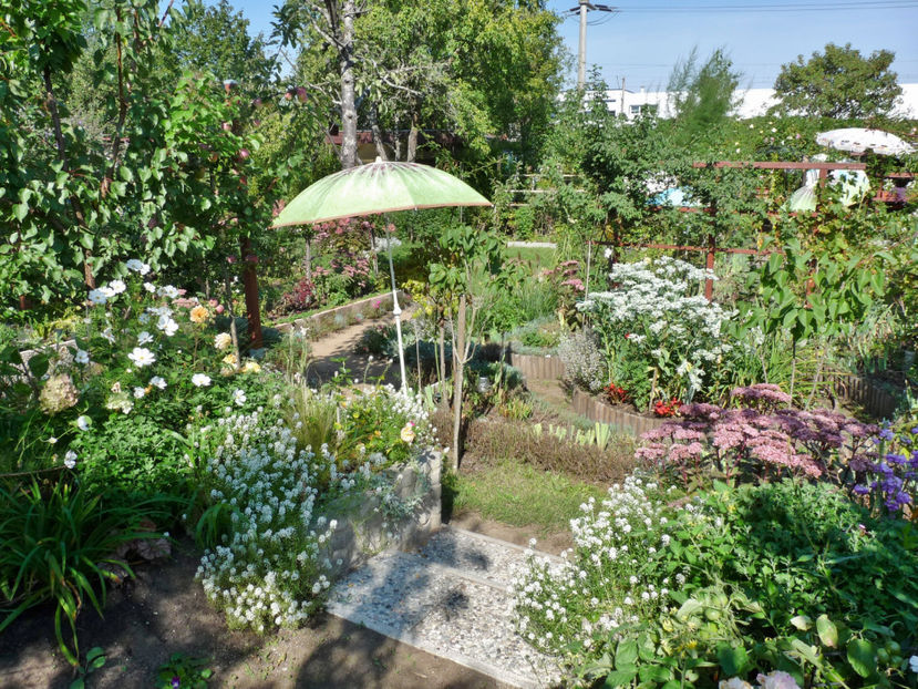 15. septembrie - 31°C - 2020 - 03 - Toamna