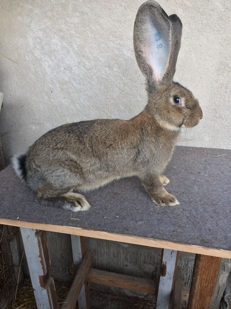 DCD88F3E-A63A-49AA-BC66-7A9D1E2AADFC - RO 8-3042