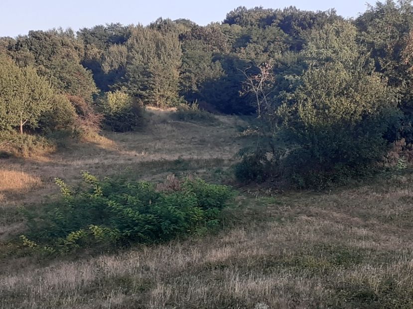  - Un apus de soare în septembrie la pindă