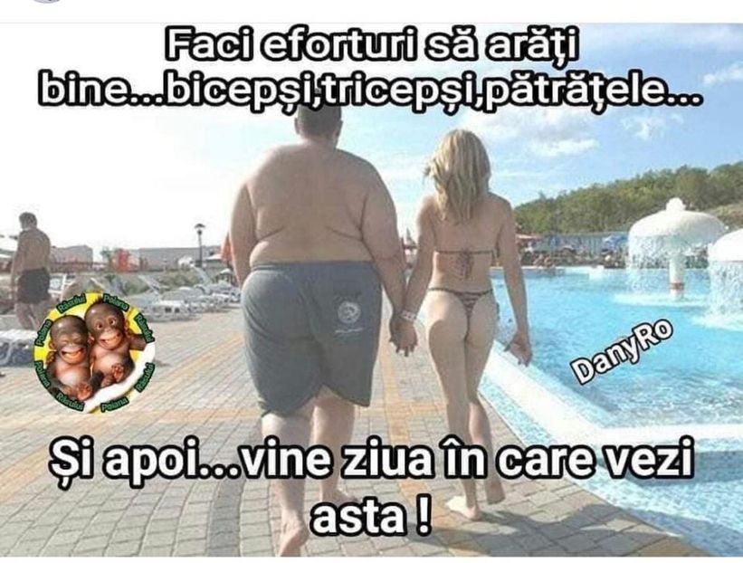 Stan si Bran - Stan si Bran