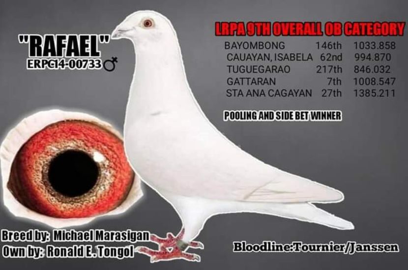  - NU AMI APARTIN 2020