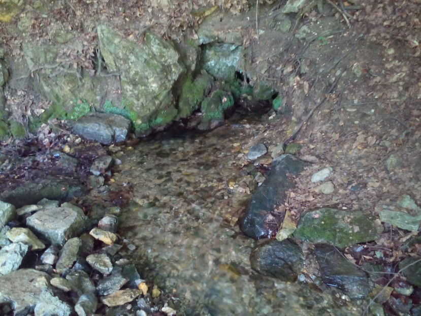 Un izvor al Barcăului - Cascada de la Izvoarele Barcăului