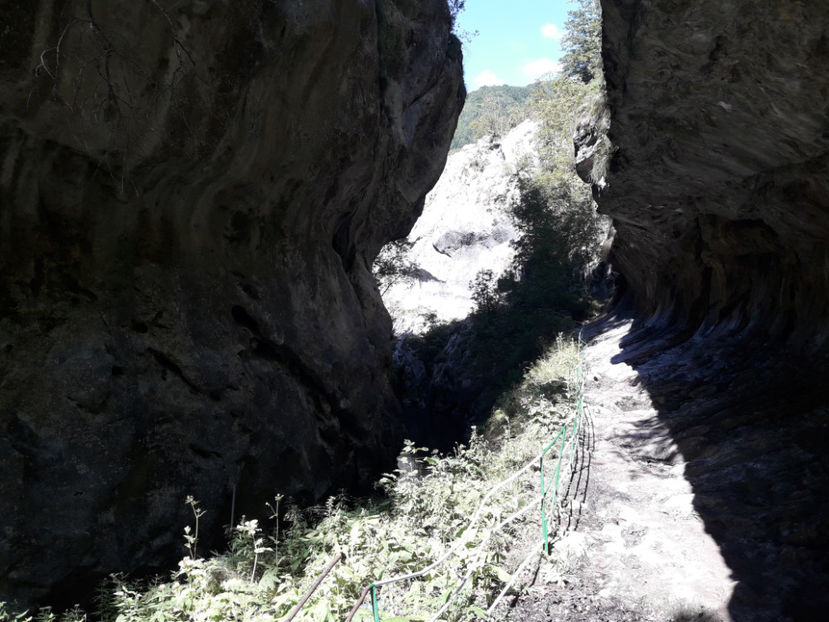 Cheile Corcoaiei - Vacanța 2020 2