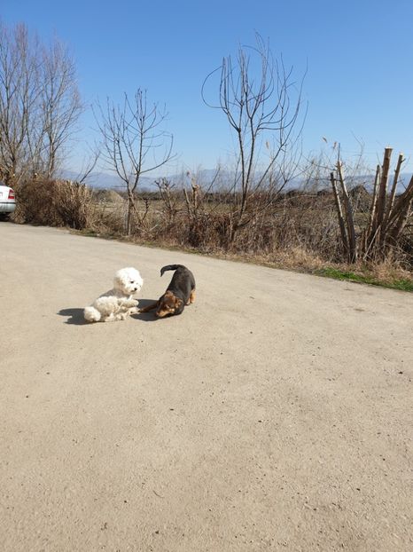 - Mini și luna