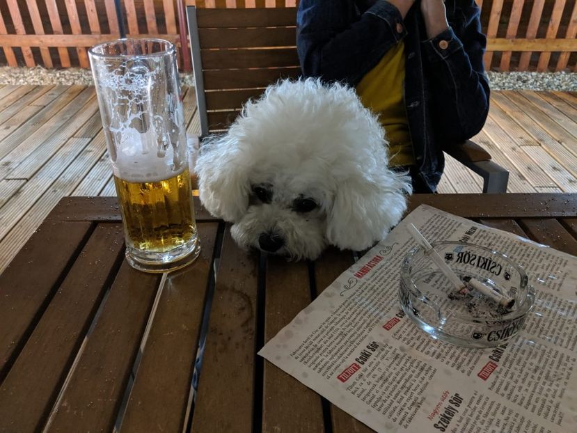 IMG-20190903-WA0009 - Mini și luna