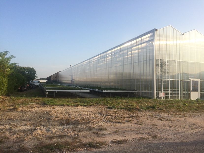 18.09.2020 - Magazinul