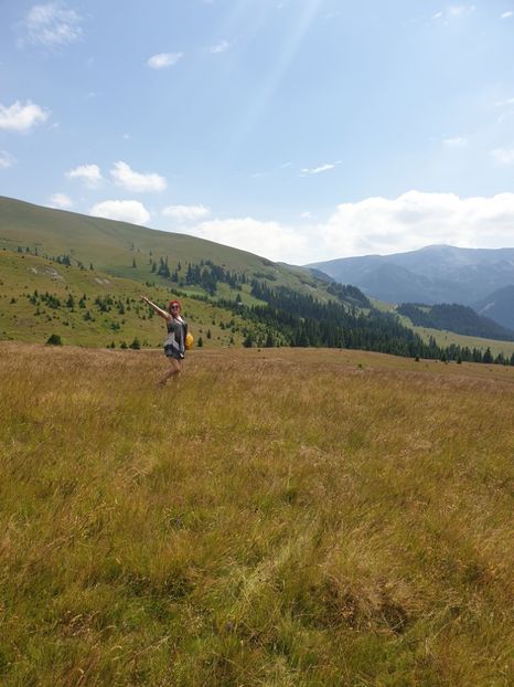  - Ocnele Sibiului și transalpina