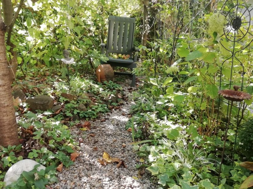 18.09.2020 - Grădina 2020 continuare 2