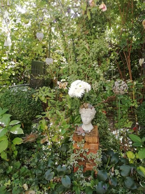  - Grădina 2020 continuare 2