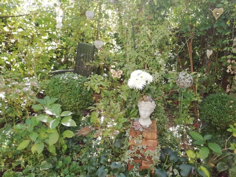  - Grădina 2020 continuare 2