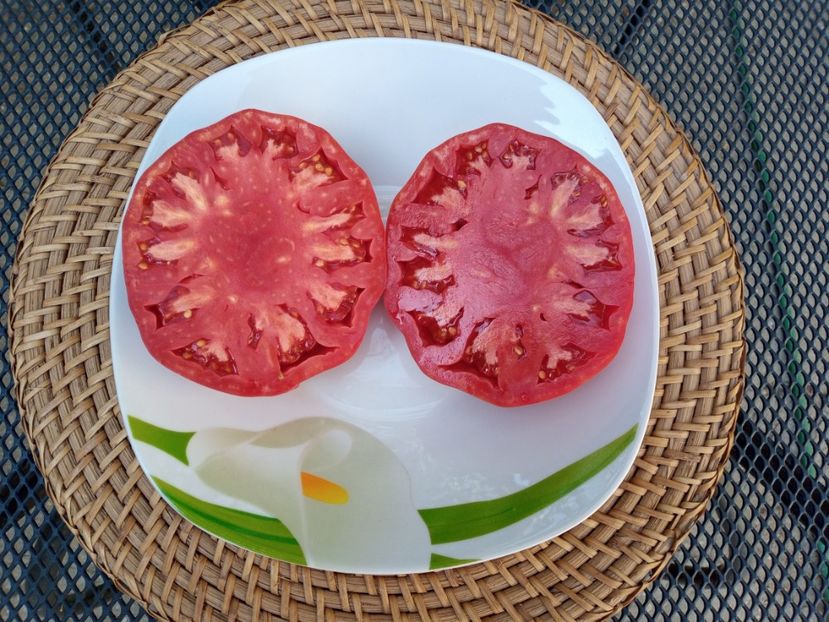 - TOMATE 2020 ALBUM 15