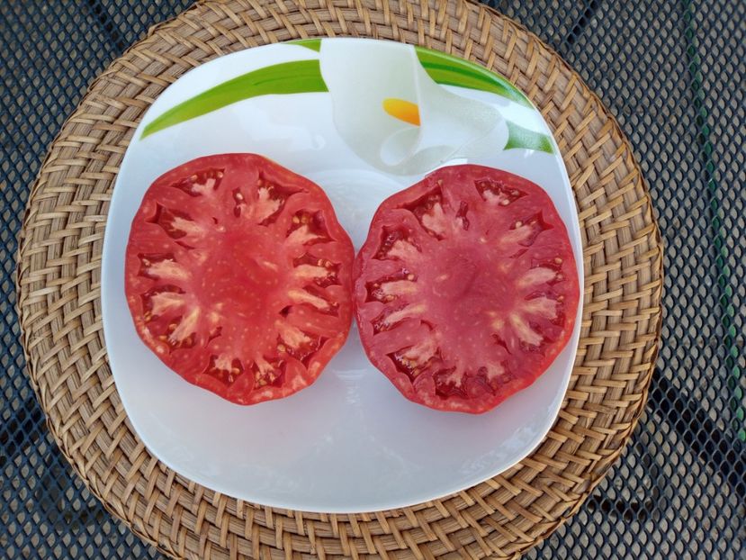  - TOMATE 2020 ALBUM 15