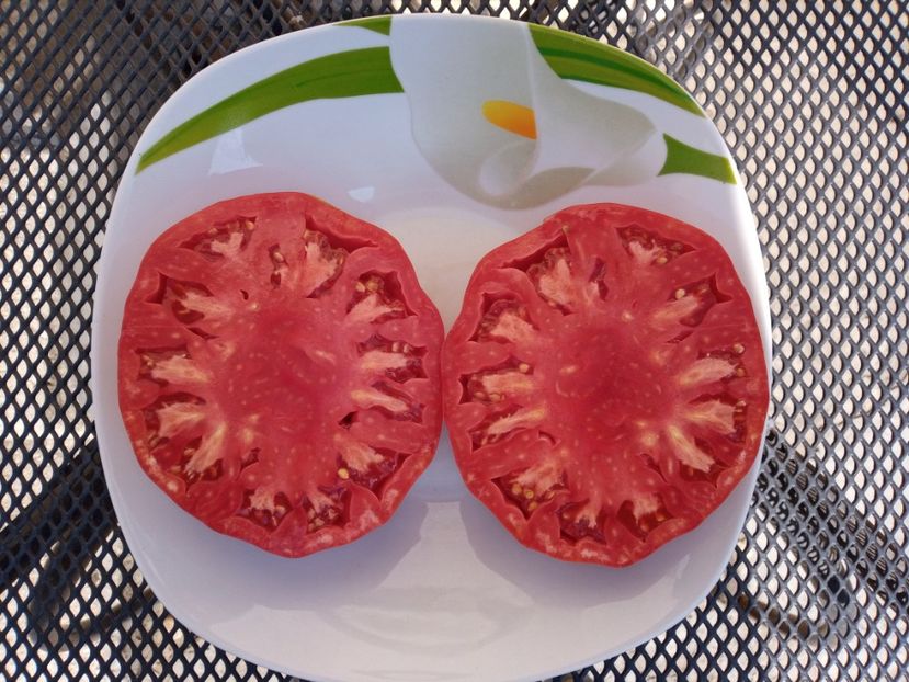  - TOMATE 2020 ALBUM 15