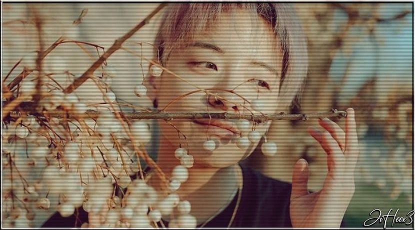 └ Dᴀʏ 038 ○ 18.09.2020 → 「Amber Josephine Liu ( f(x) )」 ✓ - dreambigwhenyoucanandenjoyit