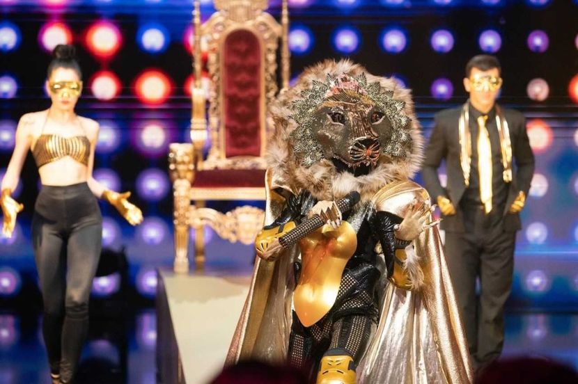 Masked Singer - Masked Singer 2020-Prezent