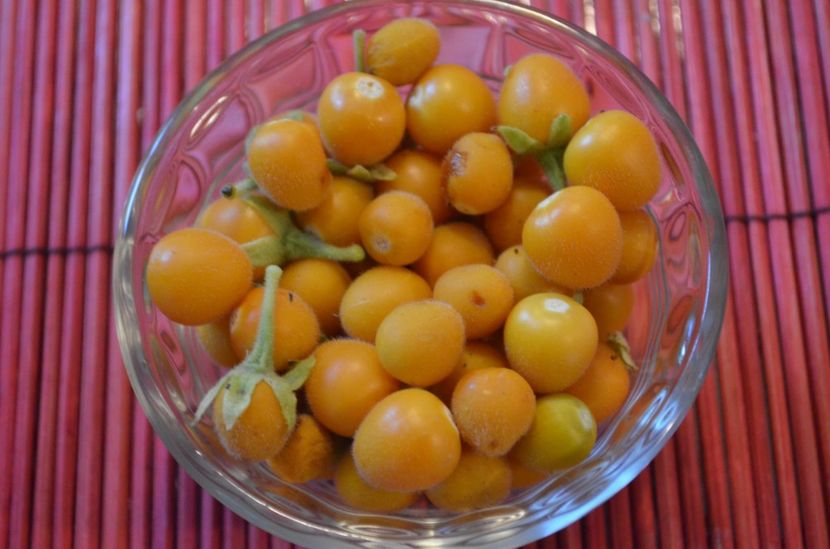 Dwarf tamarillo pur vegan - ProVegan