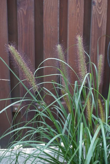  - Septembrie 2019- septembrie 2020