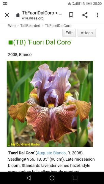 Screenshot_20200919-200017 - Iriși achiziții 2020