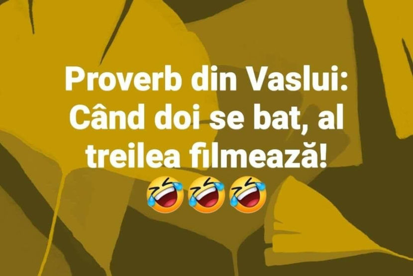 117325215_316208119812664_4457803258999486364_o - Bancuri cu Moldoveni