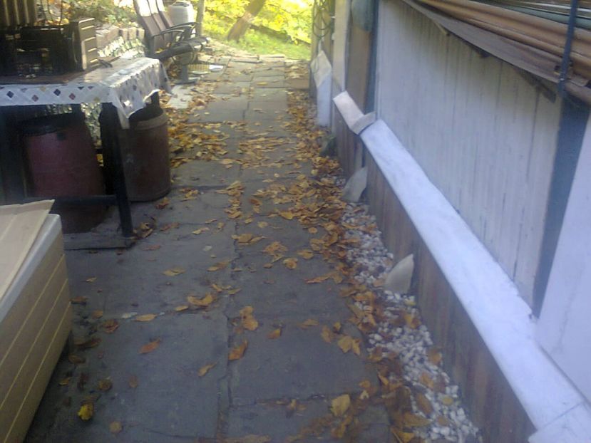 Fotografie5871 - 2020 ULTIMA ZI DE VACANTĂ LA GRĂDINĂ 17 sept