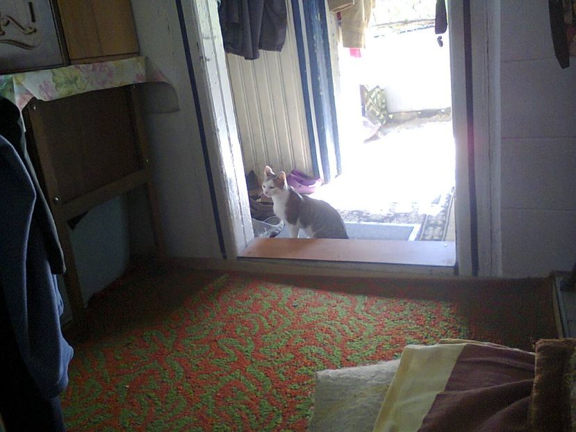 Fotografie5888 - 2020 ULTIMA ZI DE VACANTĂ LA GRĂDINĂ 17 sept