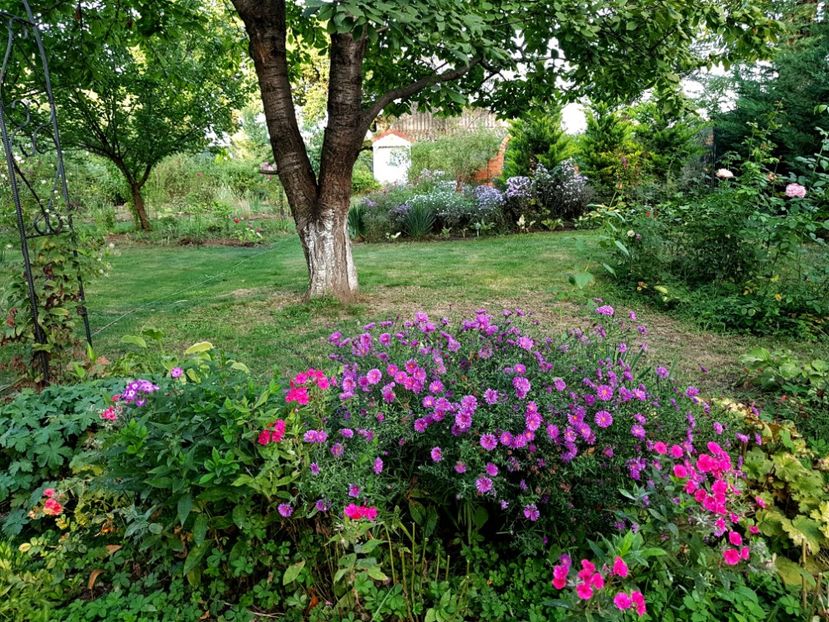  - 2020 Poiana Ciresului