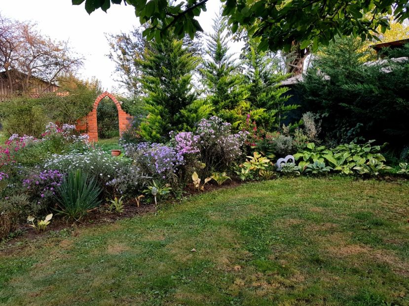  - 2020 Septembrie Aster